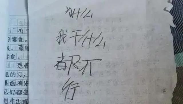  面对|安于不安，直面孩子成长中必须面对的两大话题：“生命”和“家庭”