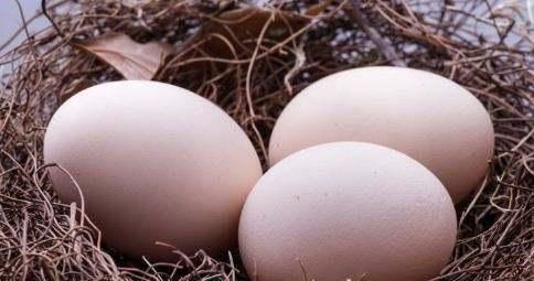  糖尿病|早餐吃鸡蛋对糖尿病患者竟然有这么大好处，或许你只是没吃对方法