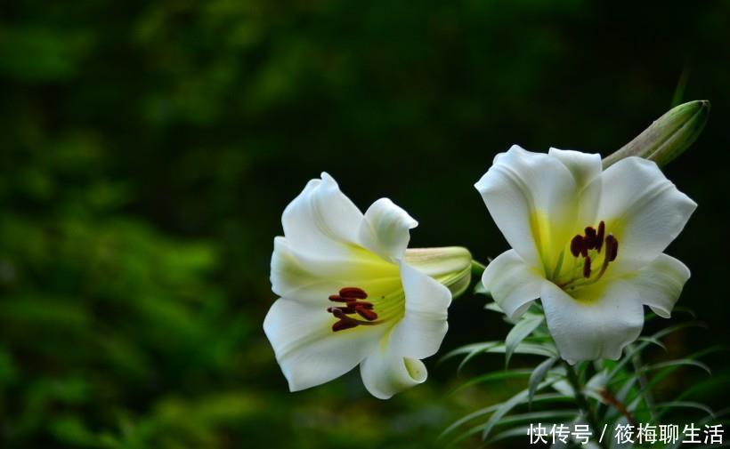 生肖|12生肖：10月7号财富多多的3大生肖，任何事情都会做得很顺心