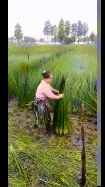  追求|搞笑GIF段子：我相信豪车美女是很多人此生毕生的追求！