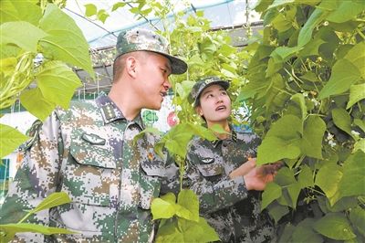 妻子王茜|戍守帕米尔 边关就是家