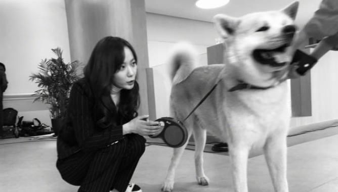  石碑|郭京飞王珞丹坐景区雕塑踩石碑, 网友怒骂太不文明, 文旅局回应打脸键盘侠