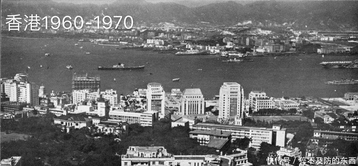 苏龙|被誉为『尖东虎中虎』的“黄俊”,因“苏龙”被落下神坛