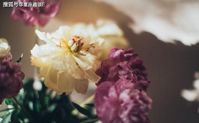  心想事成|在8月份，注重细节，努力攀登，心想事成的三大星座