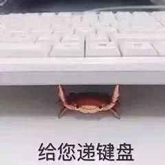  乐队|为什么乐评人的风评总是被害？