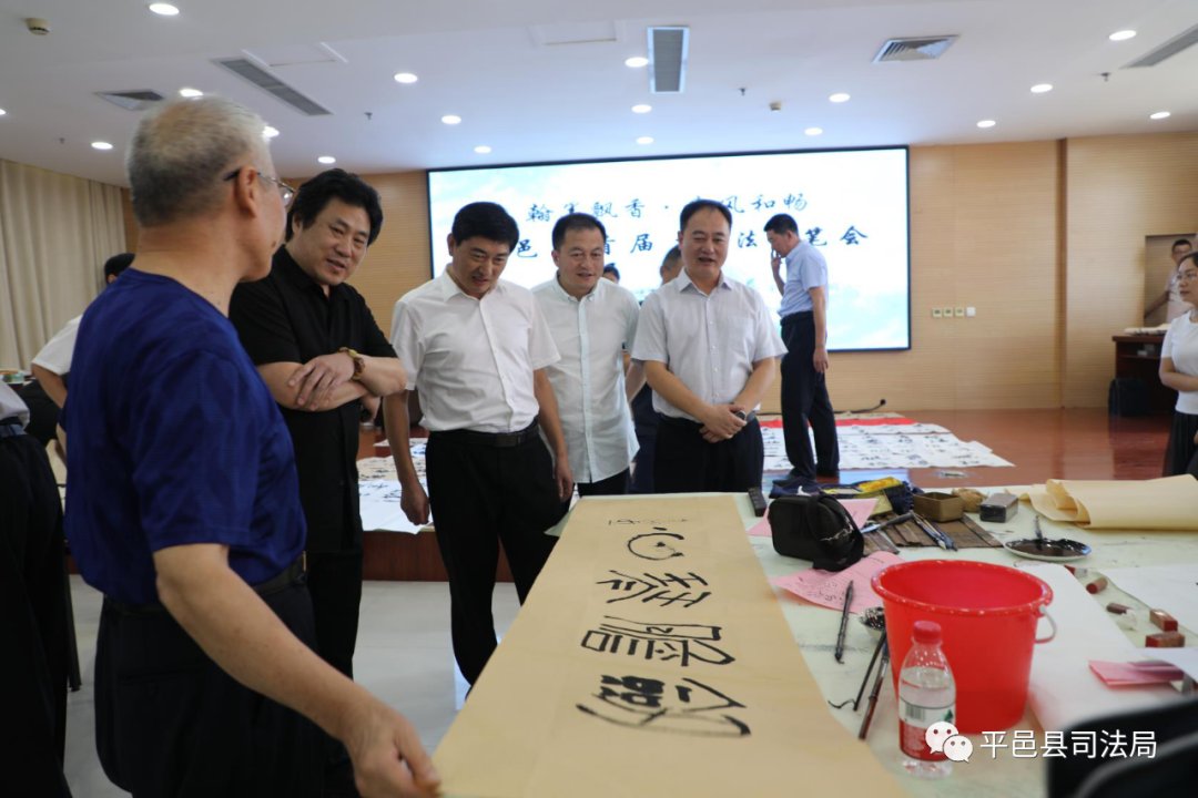 文明|【平邑新时代文明实践】——平邑县举办首届书“法”——民法典主题活动