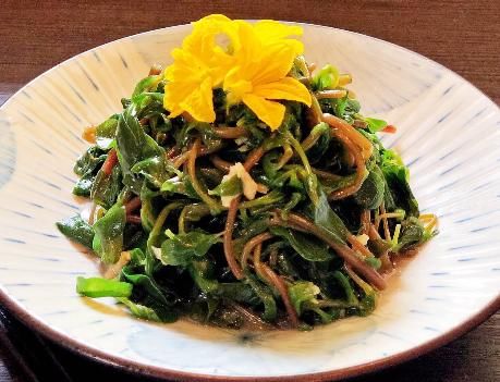 清热|夏天,正当时的野菜,农村到处是,清热消暑还营养,热天吃特好