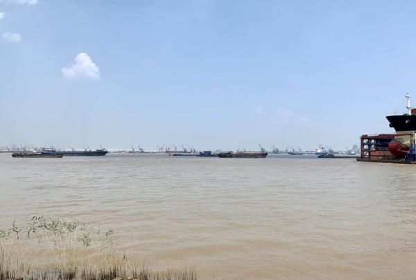 非法|非法捕捞1200余斤！抓！