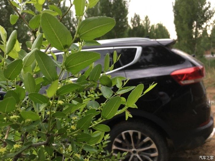 自动驻车|细雨绵绵，野外拉练爱车哈弗H6，附车身配置和外观报告！