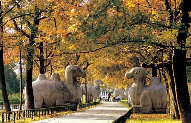 抓住|2吨重的文物一夜被盗,周围人迹罕至,通过一条线索抓住窃贼