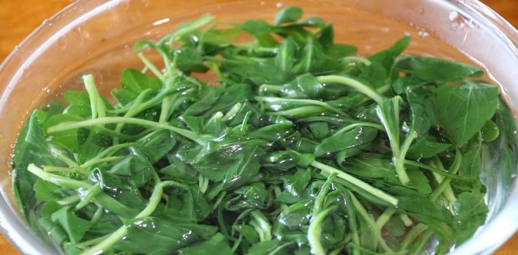 香油|马兰头是春天里的时令蔬菜,配上香干和香油,味道太香了