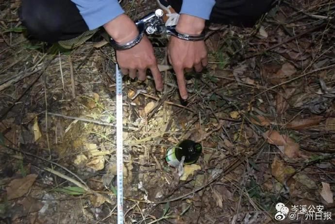 故意杀人罪|女子坐网约车被司机劫持逼喝农药 司机被控故意杀人罪、抢劫罪