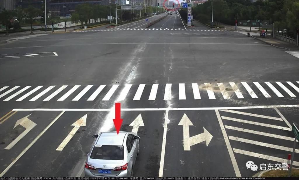 路民乐路|【创文曝光台】闯红灯曝光系列(十二)