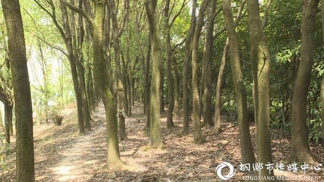  孩子|痛心！四岁孩子溺水身亡！这样的错误不要再犯了……