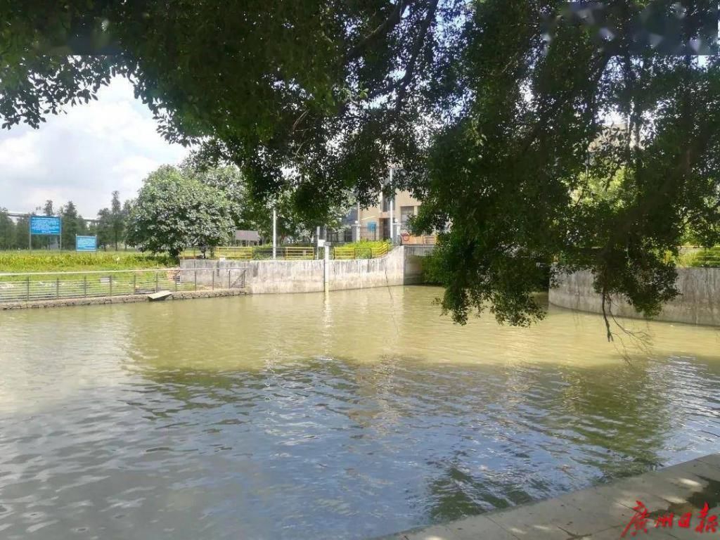  露出|大社涌露出了“清冽”的笑！