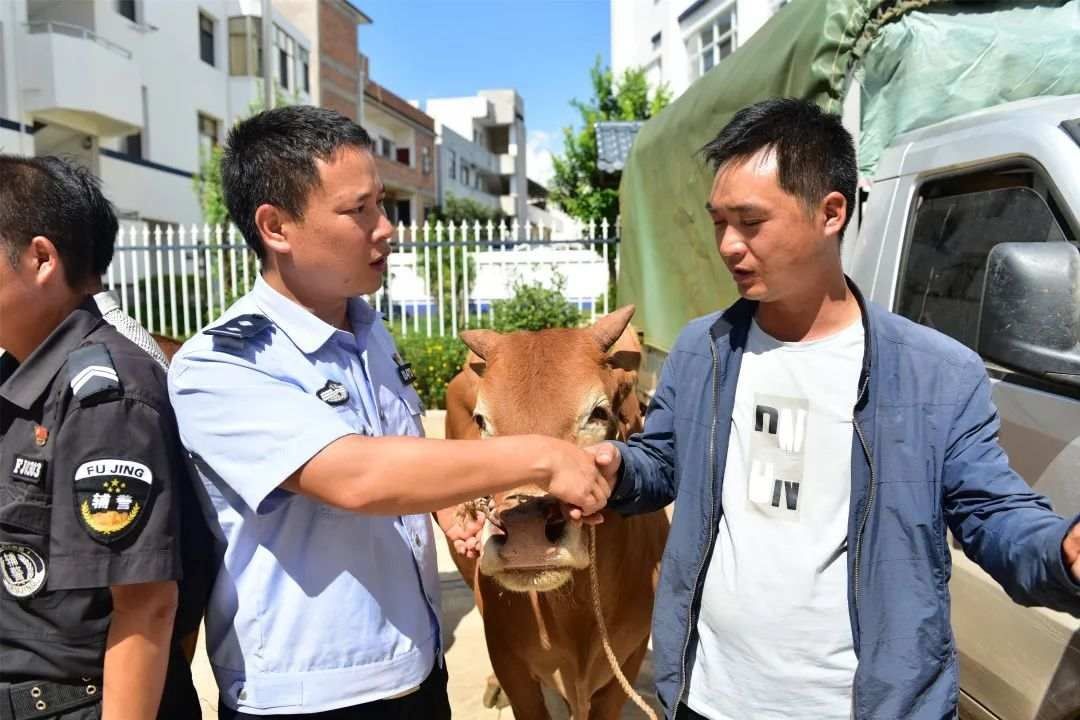 致谢|偷牛贼被抓!村民鸣锣舞狮致谢民警