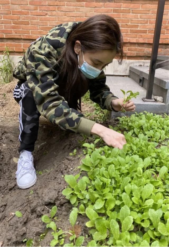  窗外|黄晓明夫妻4亿豪宅，落地窗当电视墙，窗外就是上海地标建筑