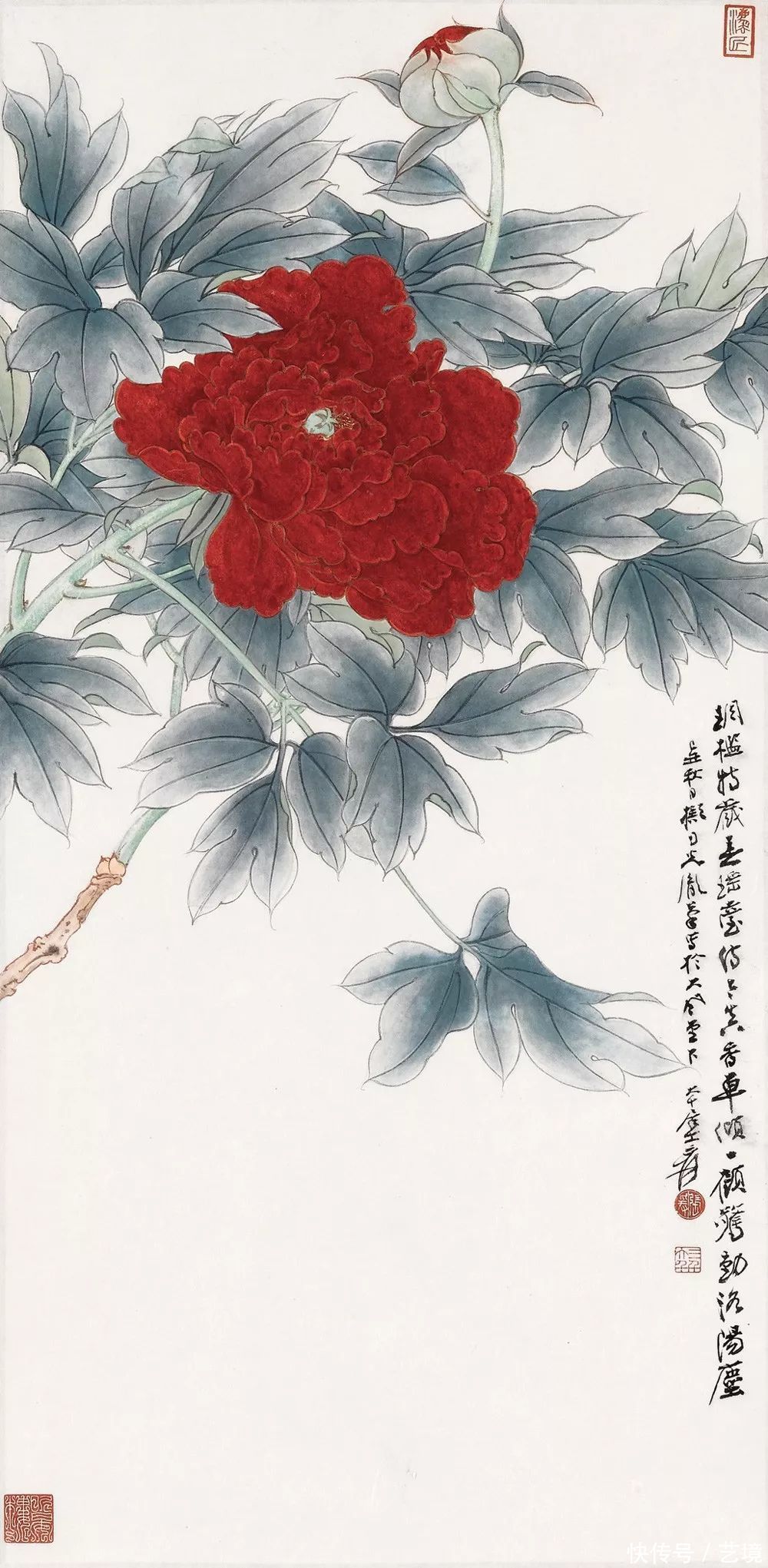 张大千花鸟画欣赏（100幅）