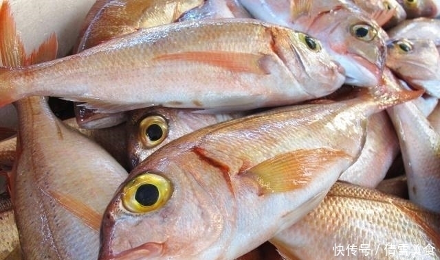 为啥|同样都是鱼,河鱼和海鱼都可以吃,为啥井鱼不可以吃大有学问