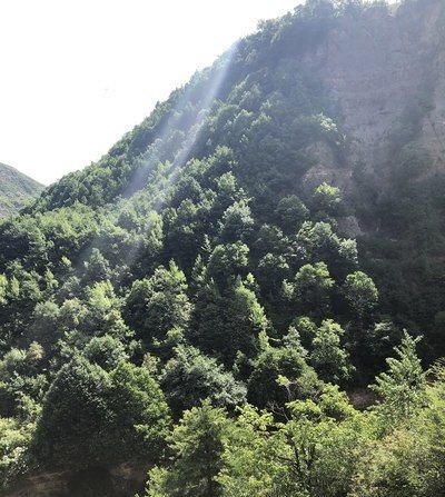  智慧|博越智慧pro带给你不一样的直观体验，乐享生活