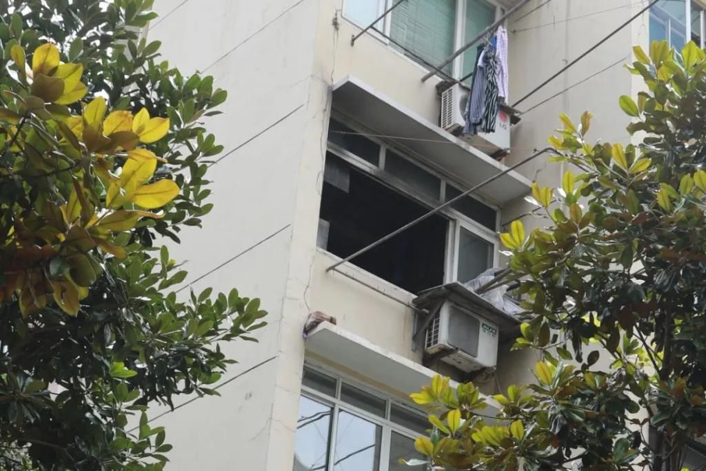 这次|母女三人火场被困!这次又是TA惹的祸……