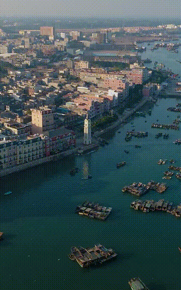 海中|中国这个美丽海滨！城在海中、海在城中，藏着绝妙生活却少有人知