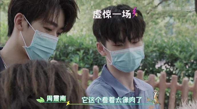  吓到|R1SE小团综：何洛洛给羊驼剪毛吓到周震南，任豪气场压制河马