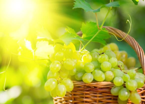  新春|??王新春 | 感谢生活