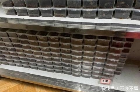 网店|粉丝300多万，年销售额1000多万！这家网店凉了