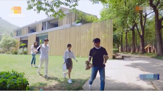  豪宅|郑爽新综艺被气哭？当看到综艺里的森林豪宅，我羡慕哭