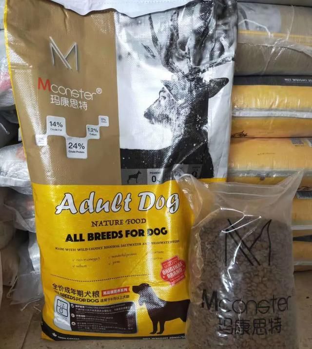 出场|记者深入调查:楚雄市被抓的流浪犬哪去了?