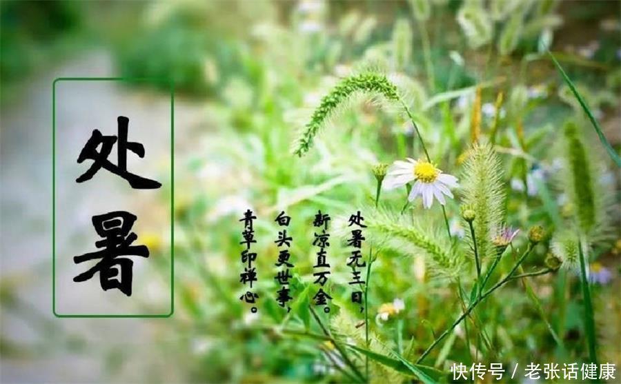处暑养生的方法和注意事项(处暑来袭，新一轮的养生计划，你做好准备了吗？)