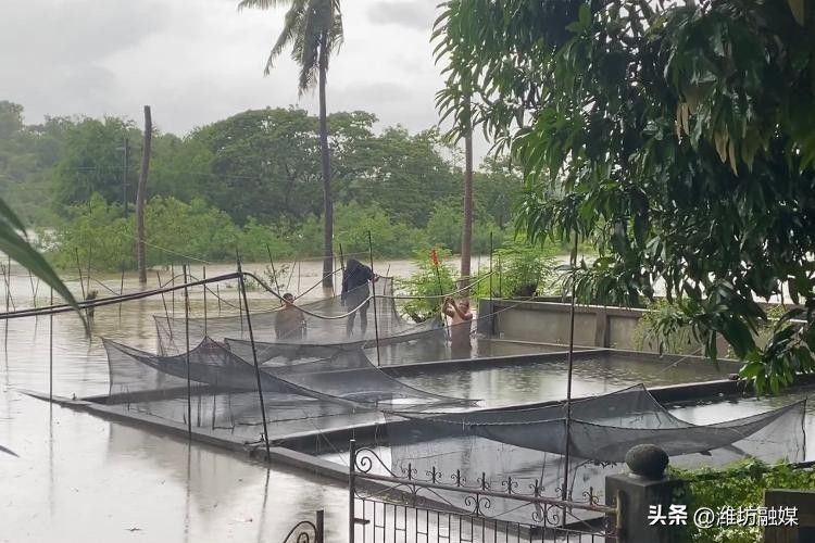 台风“苏拉”致菲律宾超30万人受灾
