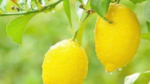 蔬菜|女性想要身体好，多吃3种蔬菜，保护肠胃，排出毒素，早吃早好