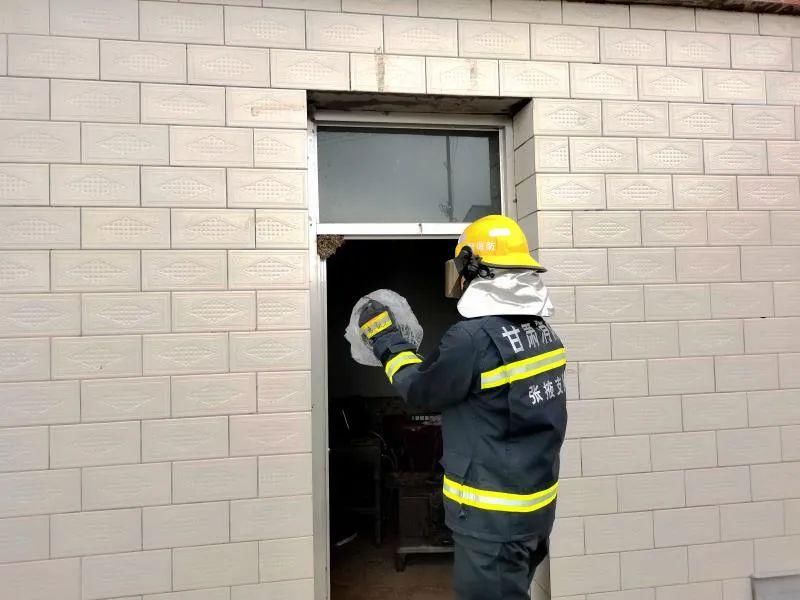  消防|马蜂很“疯狂” 山丹消防“三连胜”获居民点赞