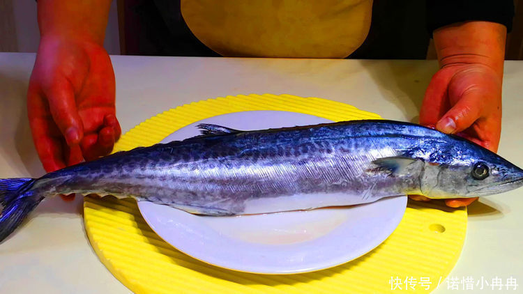 误认为|常常被误认为“低档鱼”,比鲫鱼营养,比鲳鱼还香,不懂吃就亏了