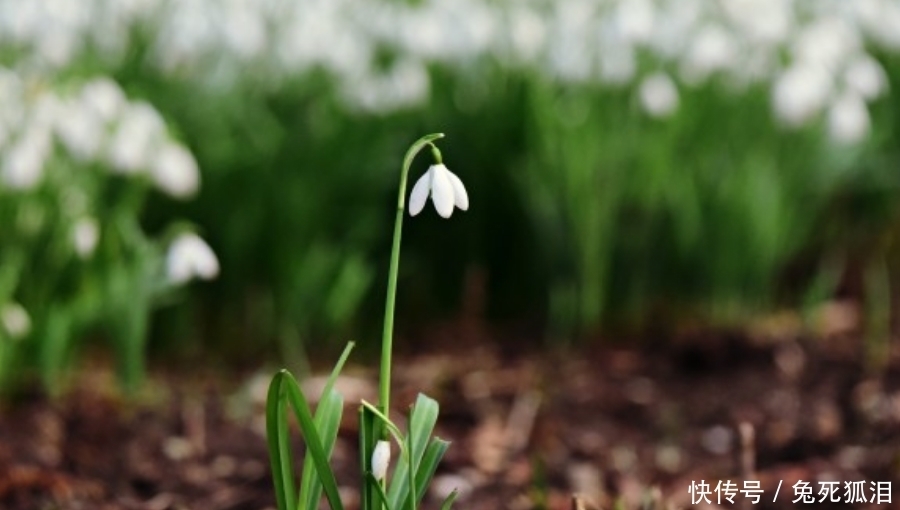 全身|九月下旬开始,好事如云,好运弥漫绕全身,贵人运红火的生肖