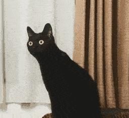  超市|超市里的冷冻鸡腿都是从哪来的？为啥从不断货？看完就懂了