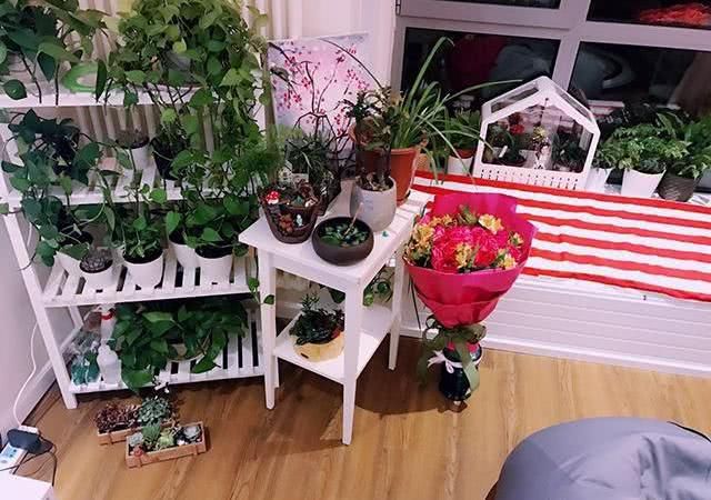  家里|带你看看童菲住的豪宅，住着很普通的房子，跟明星的身份不太相符