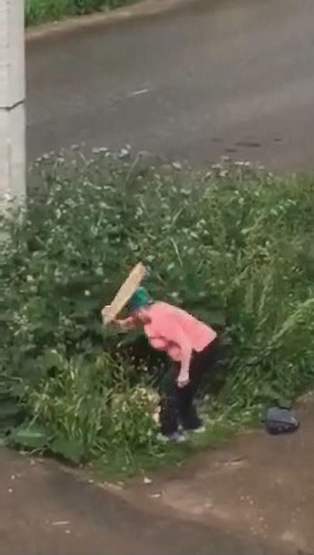  大妈|俄一对情侣草丛缠绵，被愤怒的邻居大妈用木板狠打严厉教育