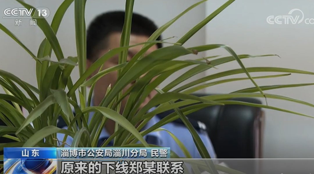 无期|丈夫贩毒被抓，妻子旁听庭审时顺道贩毒！被判无期