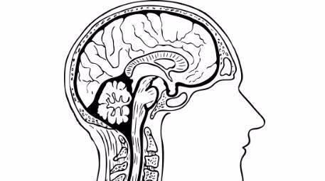  究竟|男子花1.5万健身减肥，差点送命,过度健身造成的危害究竟有多大？