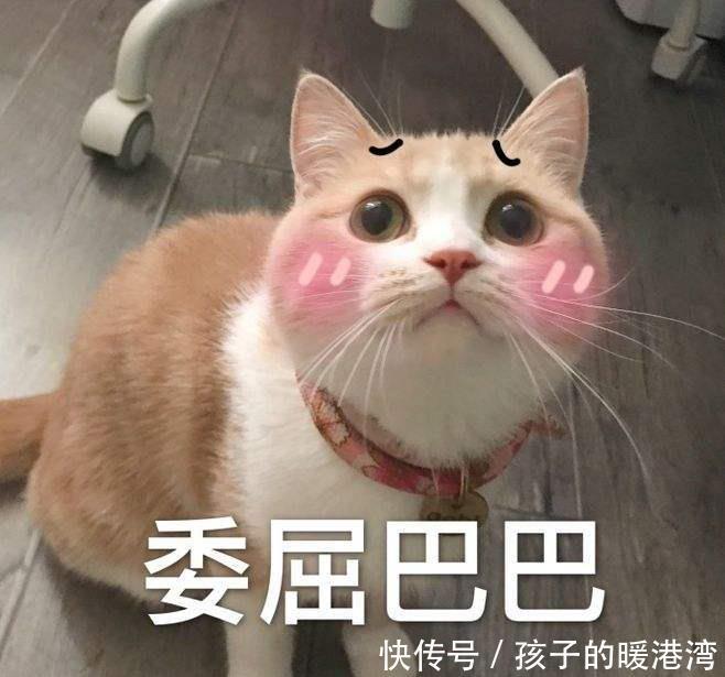  爷爷|女子怕狗伤人拦住小孩，却被孩子爷爷撞倒，网友愤怒：坏人变老了