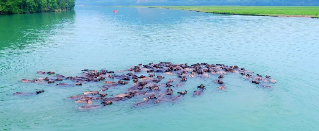  飞凤镇桥亭|村里有个桃花源！一起去吗~