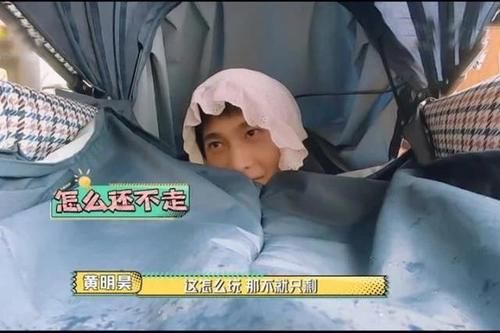  西瓜|王鹤棣的西瓜头、杨洋的婴儿车，这档综艺节目脑洞太大了！