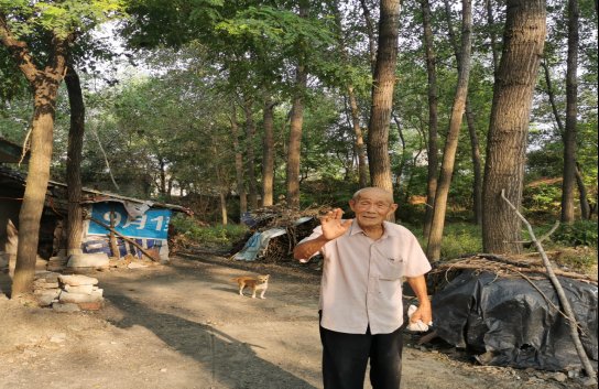 法律|维护法律权威，实现法官温情