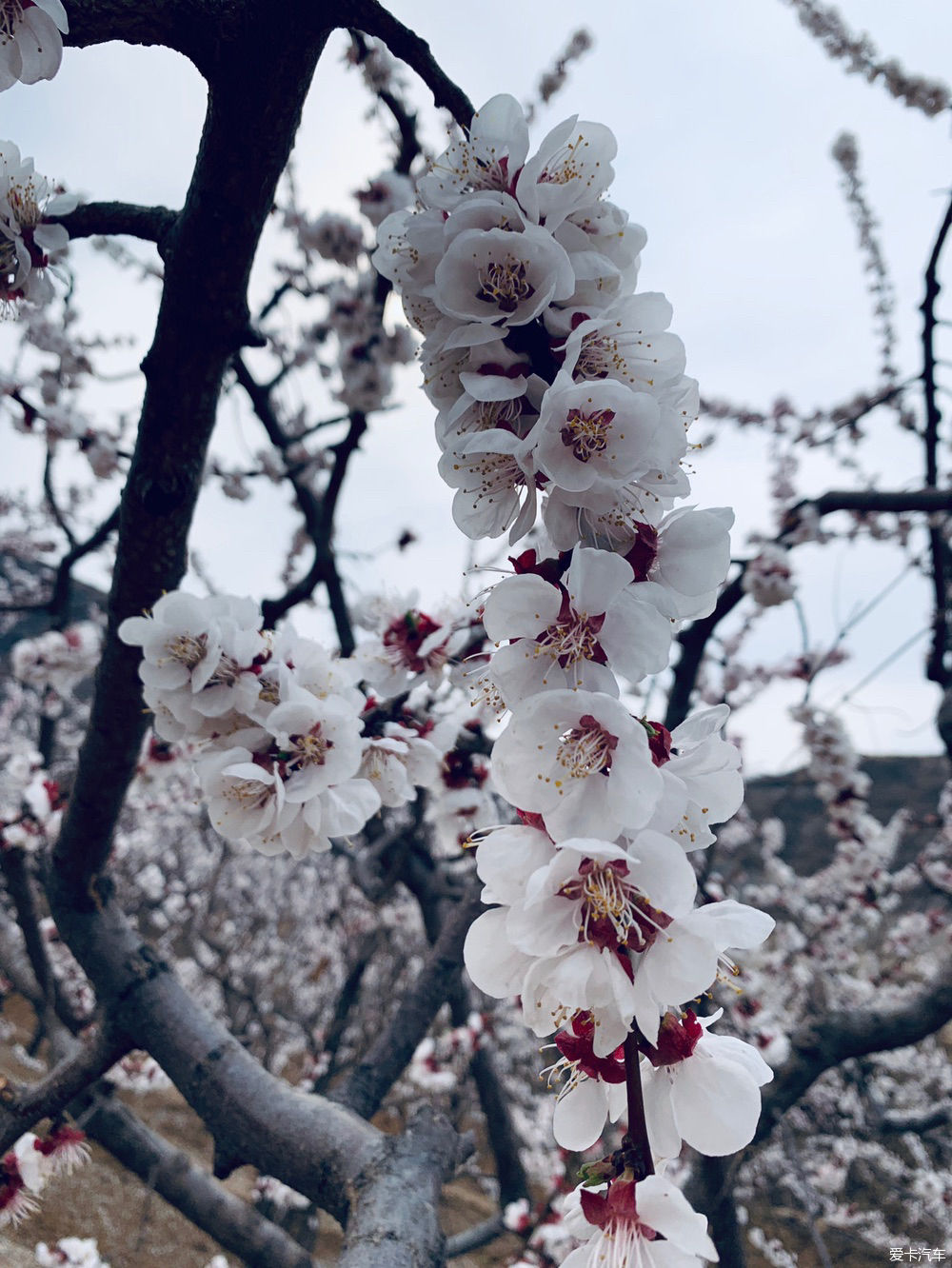  解释|【我们都过了解释的年纪】新的起点，出发吧