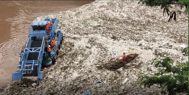  江水|江水上涨！男子被困江中，攀枝花消防紧急出动