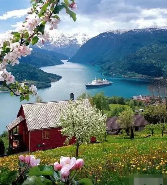 亲属中|父母一方已被执行死刑，孩子以后工作会受影响吗？说出来你都不敢相信