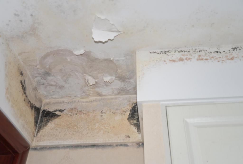  小区|曝光！涡阳这小区的房子不敢住了！推卸责任！业主苦不堪言...